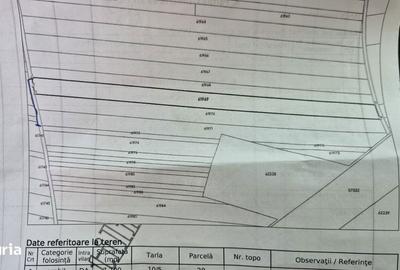 Teren de 22500 mp, în Ciorogârla
