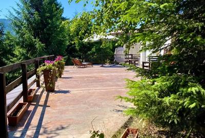 Casă cu 3 camere cu Teren 1800 Mp în Colibița - 7