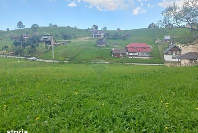 Teren de 4245 mp, în Mănești - 3