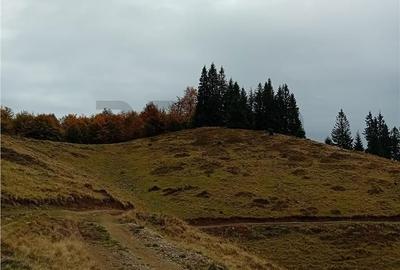 Teren de 2000 mp, în Curățele - 5