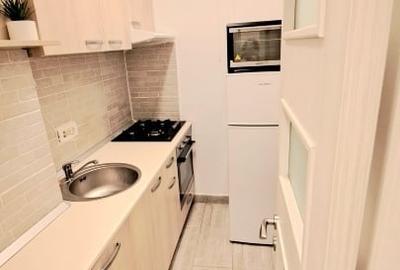 Studio Cismigiu cu acces la gradina comuna - 8