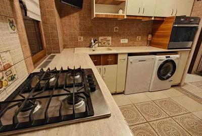 APARTAMENT 3 CAM, SEMIDECOMANDAT,ETAJUL 1, PODU ROS, PET FRIENDLY(PISICA) - 3