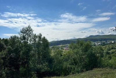 Teren de 3552 mp, în Marginea - 2