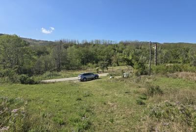 Oportunitate Investitie - Teren Intravilan Zona Viticola - 4