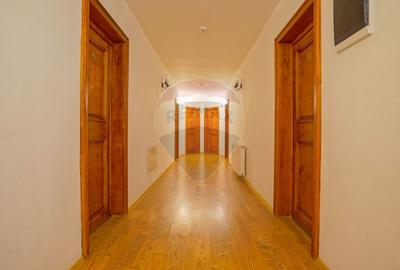 Hotel/Pensiune, de 2,950 mp, în Pănicel - 38