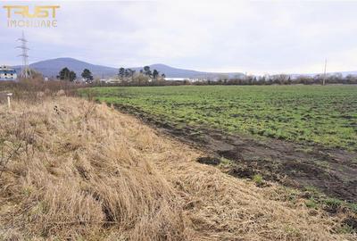 Teren Intravilan Sieu Magherus DN 17 Bistrita-Cluj - 4