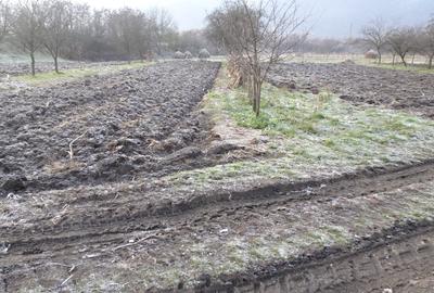 Casă cu 2 camere cu Teren 2245 Mp în Brănișca - 4