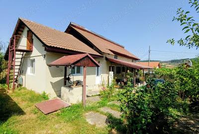 Casa individuala cu teren 1000m mobilata Cocorova, Mehedinti - 9