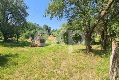 Teren în Corbeni - 5