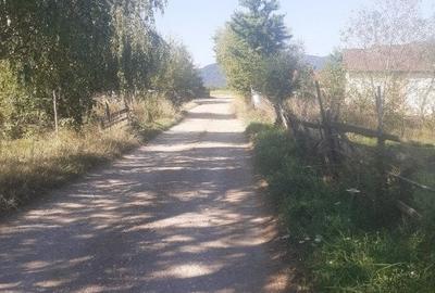 Teren intravilan 4200 mp Tohanu Nou - 3