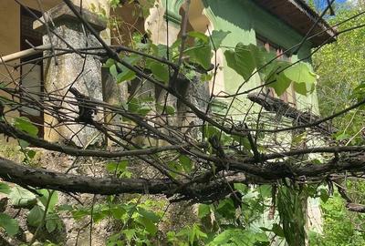 Casă cu 5 camere cu Teren 5000 Mp în Central - 3