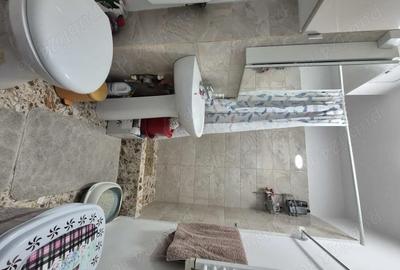 Apartament cu 3 camere decomandat, mobilat în Liviu Rebreanu - 8
