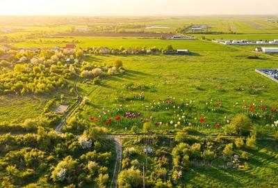 Teren în Bragadiru - 8