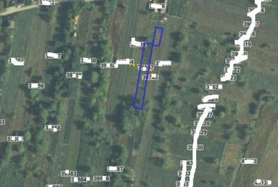 Teren intravilan Leu, Jud. Dolj, - 2