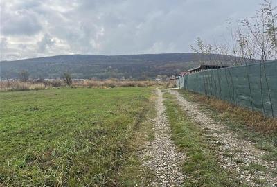 Hemeius- teren 500 mp- 18 ml deschidere! - 1