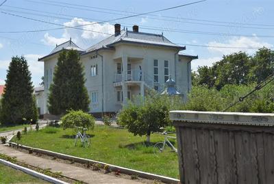 Casa P+1E, anexe,hala depozitare pe teren 7900 mp in Vladeni (BT) Casa P+1E, anexe,hala depozitare pe teren 7900 mp in Vladeni (BT) - 3