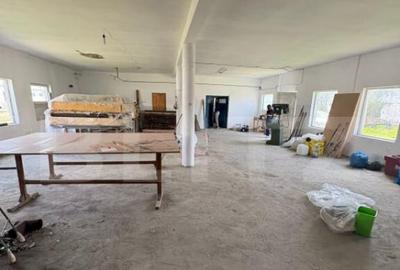 Hala Industriala 400 mp utili + 400 mp curte, JELNA - 3