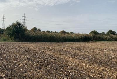 Teren Construcții extravilan de 7500 mp, în Afumați - 12