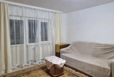 Apartament cu 2 camere semidecomandat în Budeasa - 6