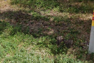 Spațiu comercial, în Baia de Fier - 4