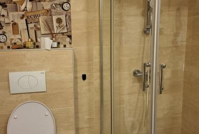 De inchiriat apartament 2 camere - Parcul Carol - 11