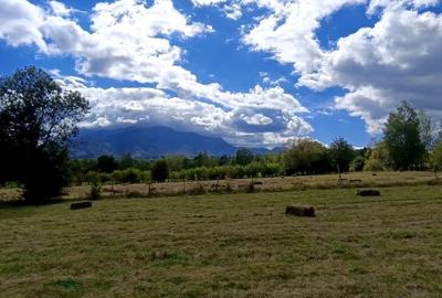 Teren cu suprafata generoasa in zona pitoreasca - Bran Sohodol - 2