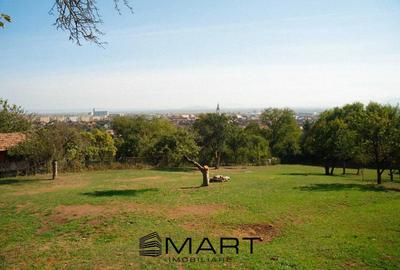 Teren Construcții intravilan de 120000 mp, în Nord - 7