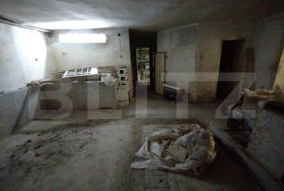 Fabrica teracota Livezile 1900mp hala+400mp Casa+teren 2900mp,acces tir - 16