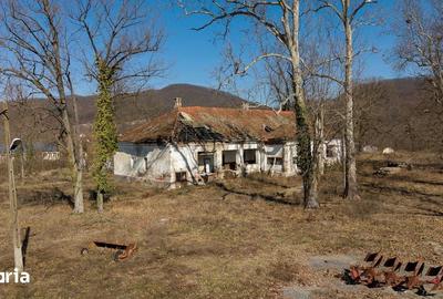 Casă cu 8 camere cu Teren 7235 Mp în Traian Vuia - 19