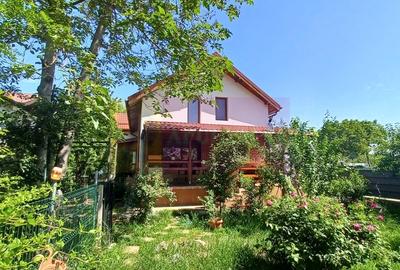 Joita, vila 5 camere 187 mp utili + garaj, terasa, pivnita, curte 578 - 2