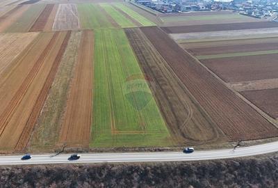 Teren agricol extravilan de 14600 mp, în Tărlungeni - 5