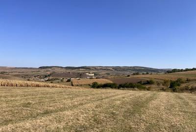 Teren de 18000 mp, în Corușu - 3