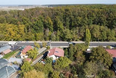 Vila Mogosoaia la padure si DN. - 7