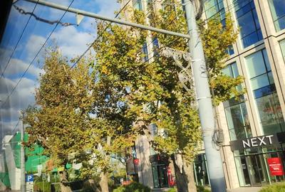 Inchirez apartament Sibiu str M.Ziteazu Inchirez apartament Sibiu str M.Ziteazu - 2