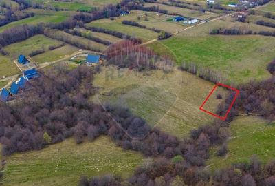 Teren Construcții intravilan de 480 mp, în Tohănița - 2