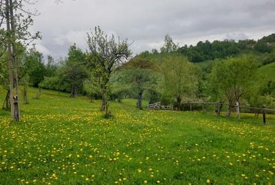Teren intravilan, 1500 mp, Bran - 11