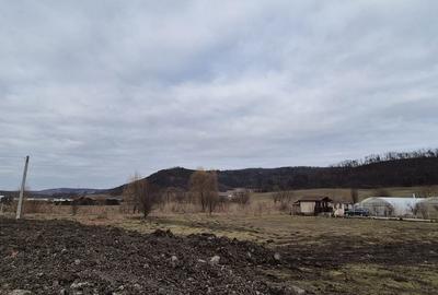 Teren de 17000 mp, în Ceuaș - 2