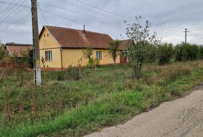 Casă cu Teren 873 Mp în Brestovăț - 2