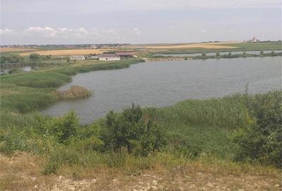 Teren de 12500 mp, în 23 August - 5