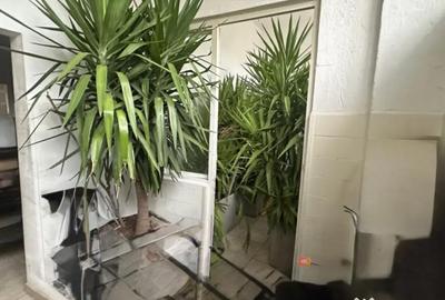 Spațiu comercial, de 146 mp, în Central - 2