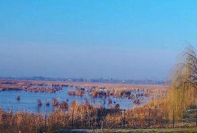 Vand teren intravilan 4000MP cu dechidere la Delta Neajlovu - 5