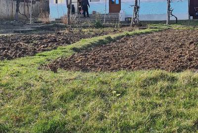 Casă cu Teren 1500 Mp în Central - 1