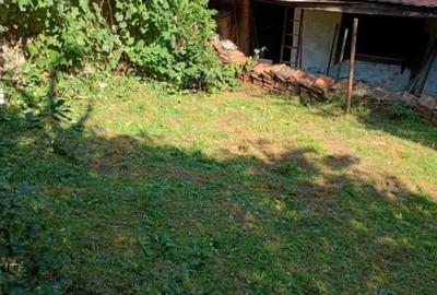 De vânzare casă bătrânească cu teren generos în Poiana Golului