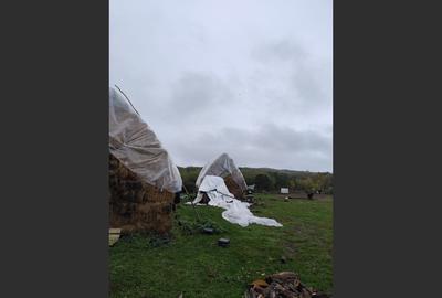 VIla de vanzare Teisani Stubeiu 11250 mp - 6