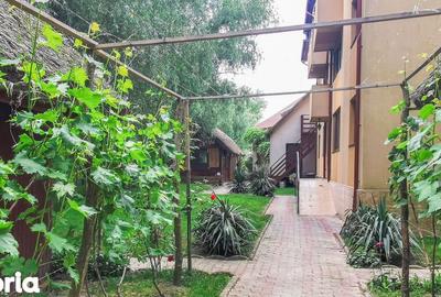 Casă cu Teren 1500 Mp în Murighiol - 2