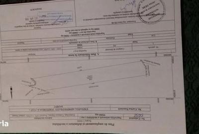 Teren de 9500 mp, în Dămuc - 4