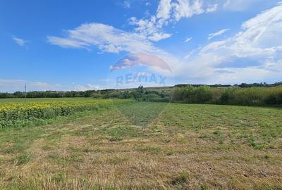 Teren extravilan 12000 mp- Padureni-Sendriceni, Botosani