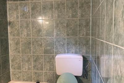 Casa 4 camere suprafata utila 100mp cu teren 400mp spre vanzare in Gura Raului - 8