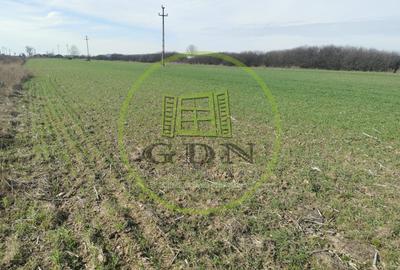 Teren agricol extravilan de 21496 mp, în Săcădat - 1