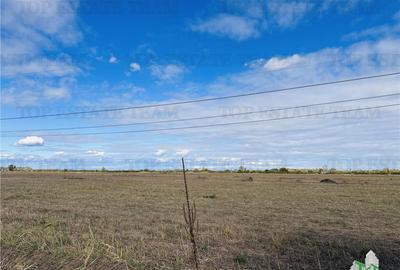 Teren 30 hectare, 500 m deschidere la A1, langa Bolentin Val - 8